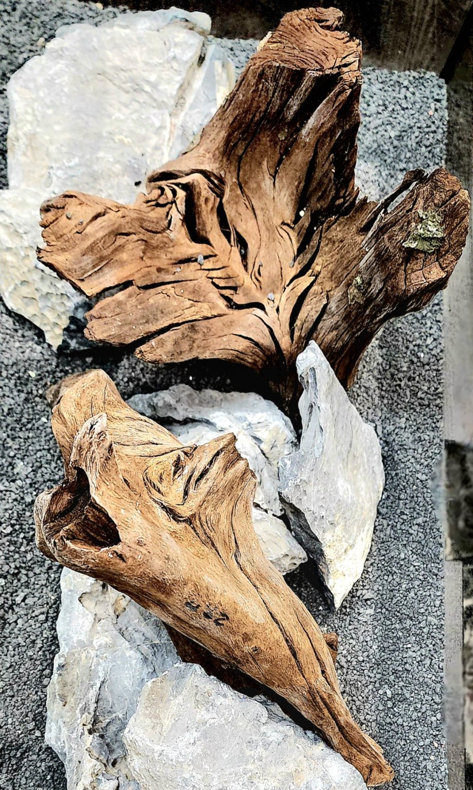 Driftwood and pale stones arranged on dark aquarium substrate