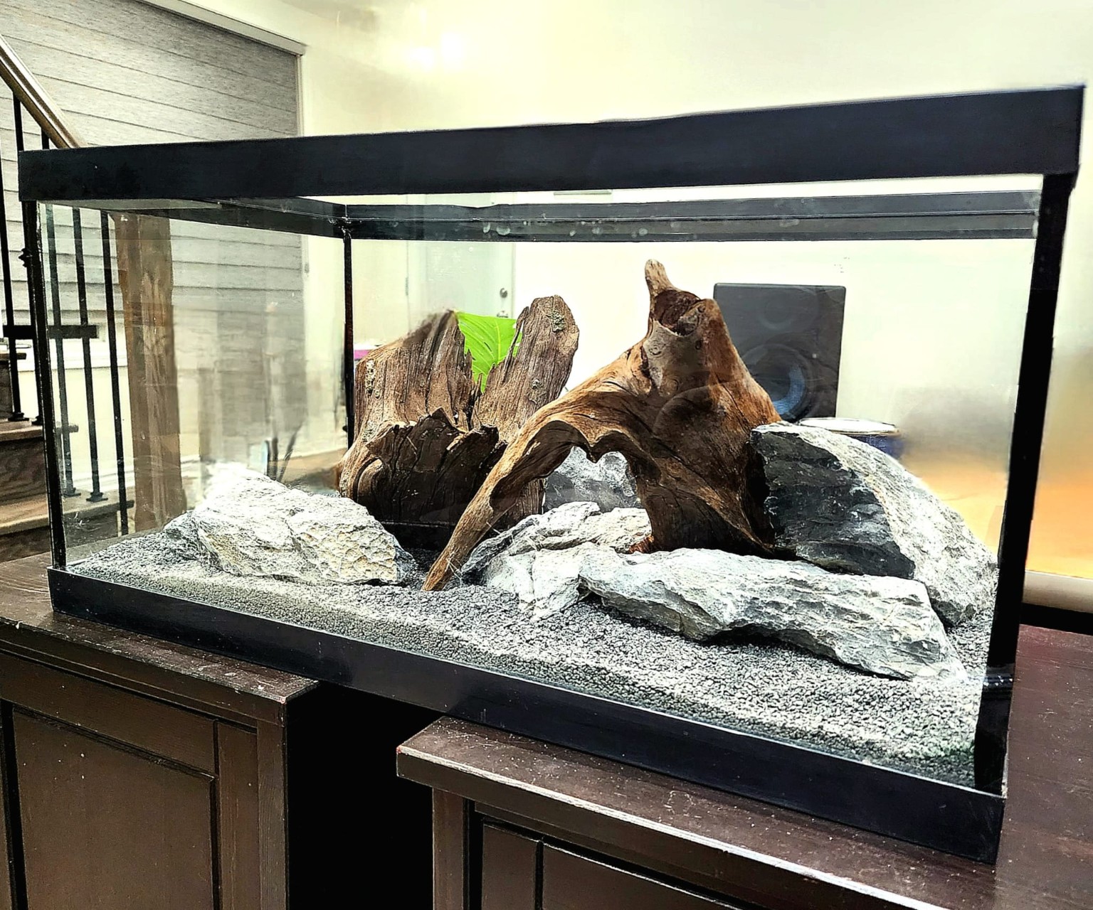 Dry aquarium hardscape built with grey stone, driftwood and dark substrate